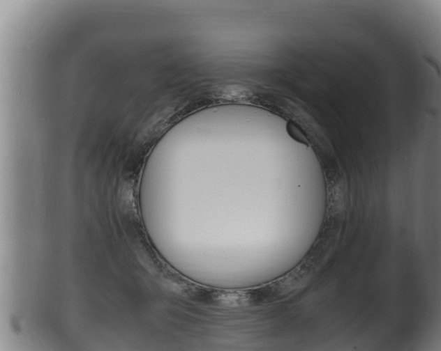 X0000100380415200806060831