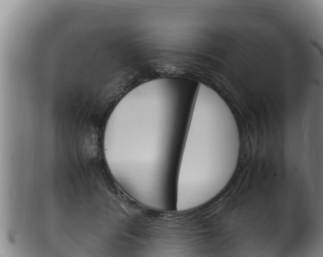 X0000100380416200806060831