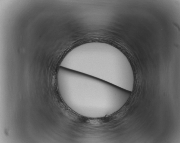 X0000100380417200806060831