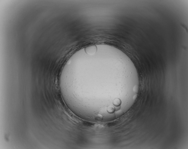 X0000100380418200806060831