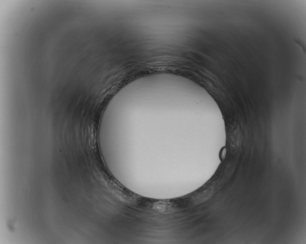X0000100380420200806060831