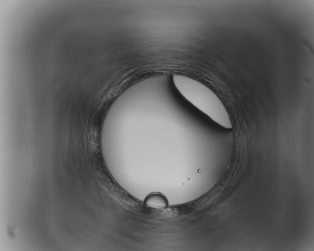X0000100380421200806060831
