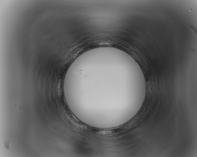 X0000100380422200806060831
