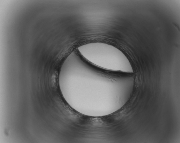 X0000100380424200806060831