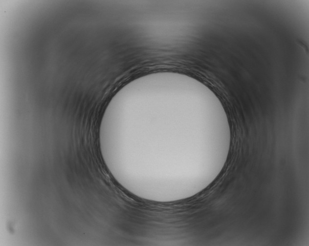 X0000100380425200806060831