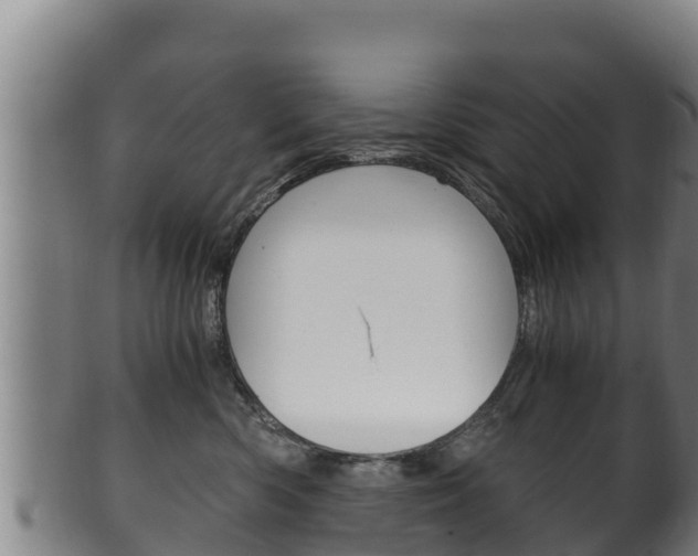 X0000100380426200806060831