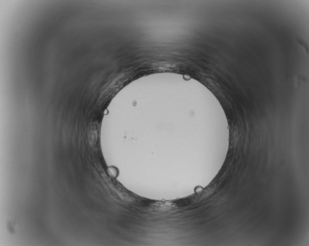 X0000100380427200806060831