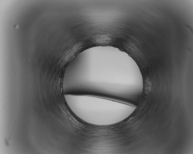 X0000100380428200806060831