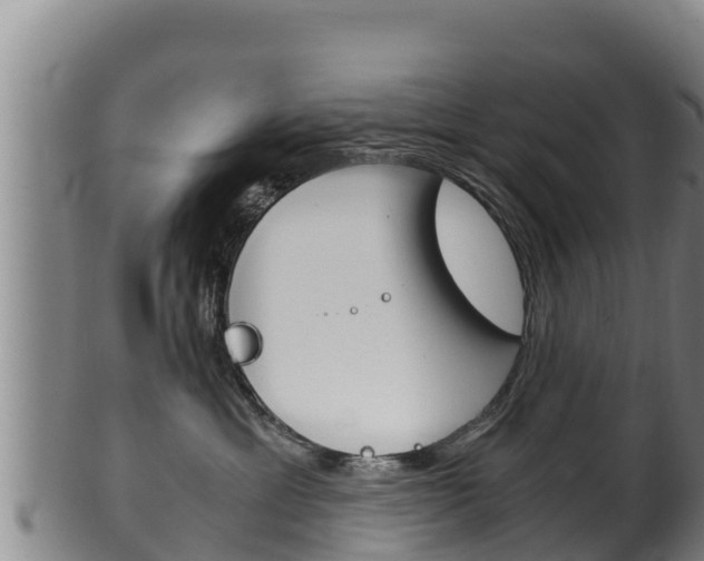 X0000100380429200806060831