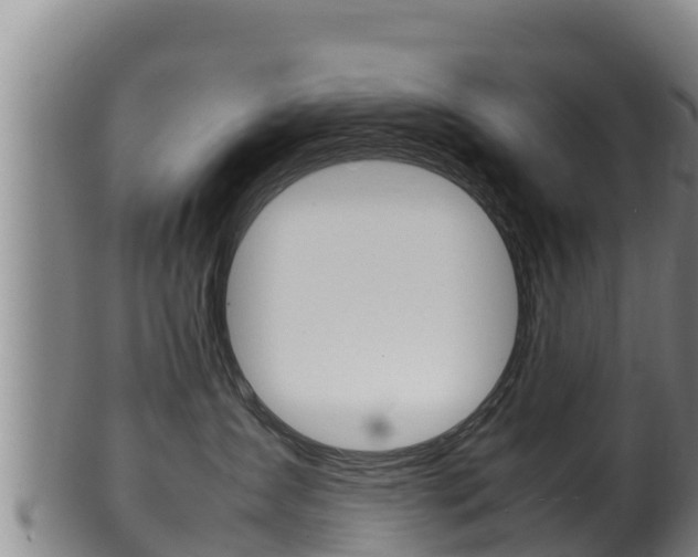 X0000100380431200806060831
