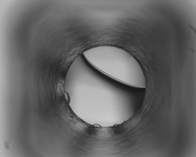 X0000100380432200806060831