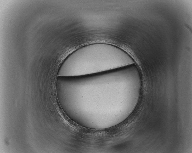 X0000100380433200806060830