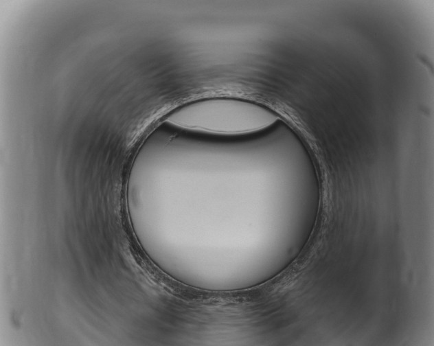 X0000100380434200806060830
