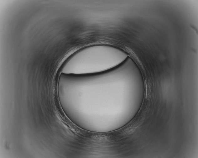 X0000100380435200806060830