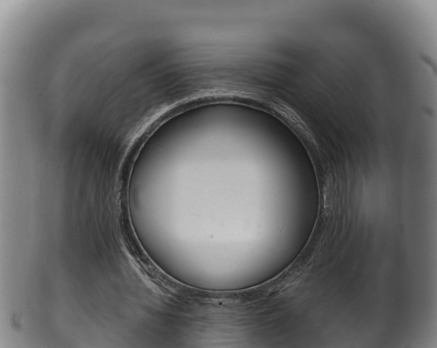 X0000100380436200806060830