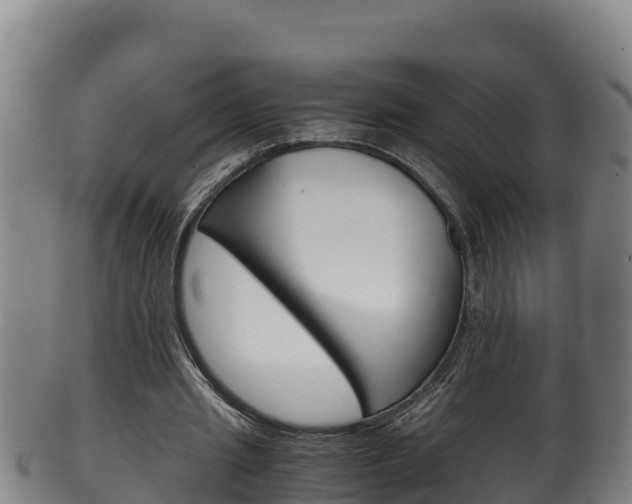 X0000100380437200806060830