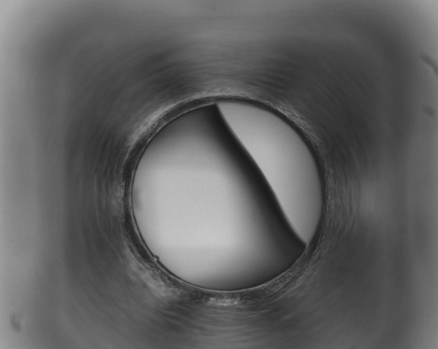 X0000100380440200806060830