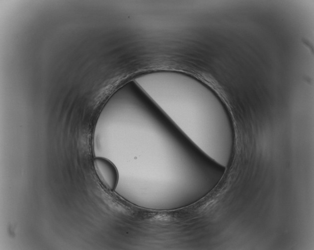 X0000100380441200806060830