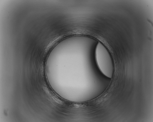 X0000100380442200806060830