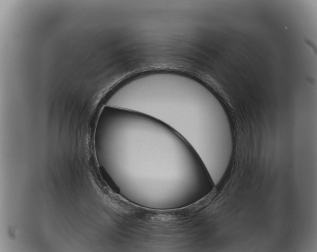 X0000100380444200806060830