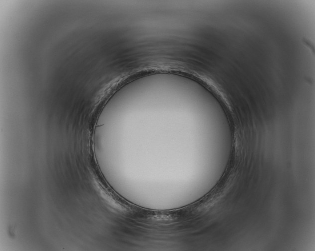 X0000100380445200806060830