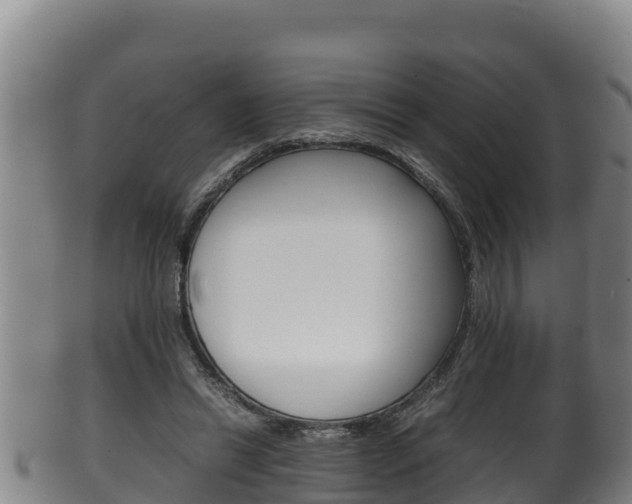 X0000100380446200806060830
