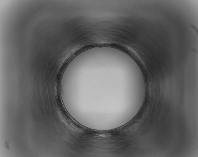 X0000100380447200806060830