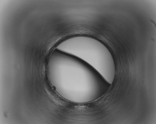 X0000100380448200806060830