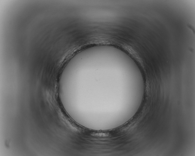 X0000100380449200806060830