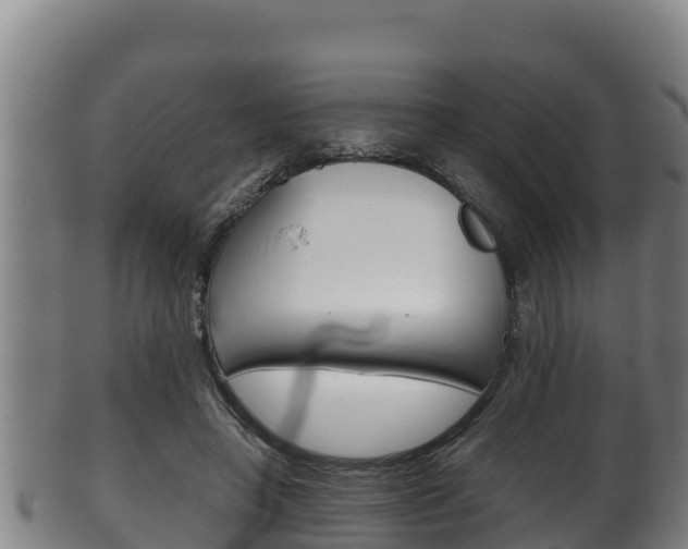 X0000100380450200806060830