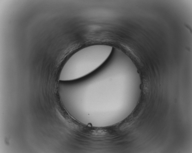 X0000100380451200806060830
