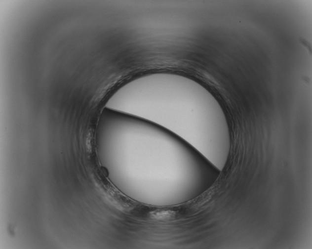 X0000100380452200806060830