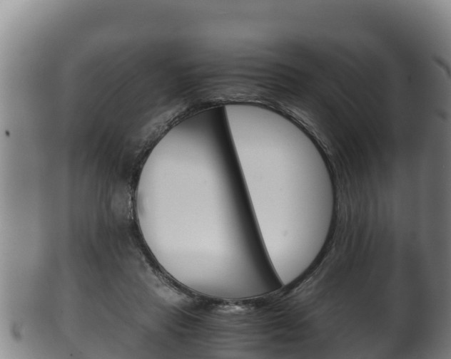 X0000100380453200806060830