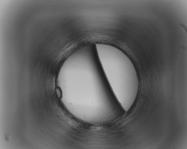 X0000100380454200806060830