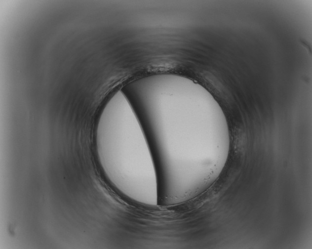 X0000100380455200806060830