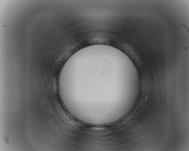 X0000100380457200806060830