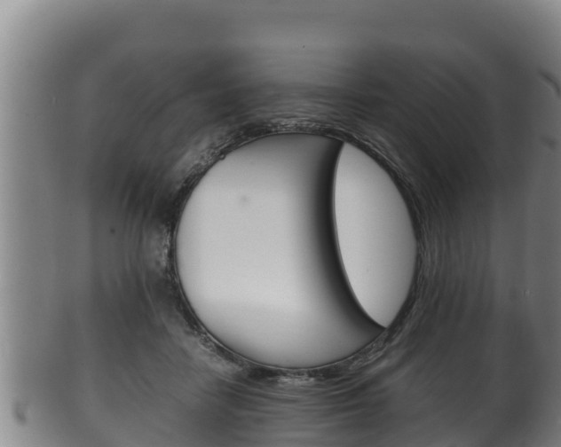 X0000100380458200806060830
