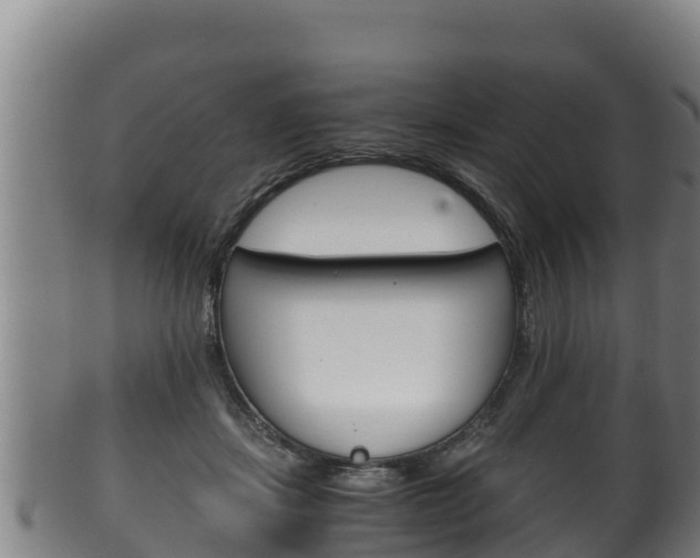 X0000100380459200806060830