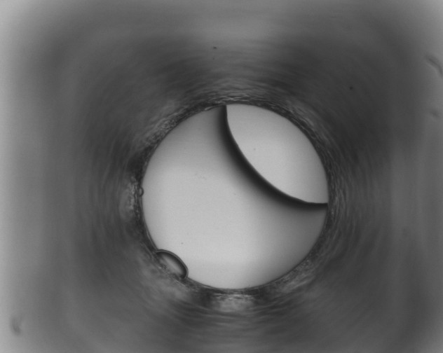 X0000100380463200806060830