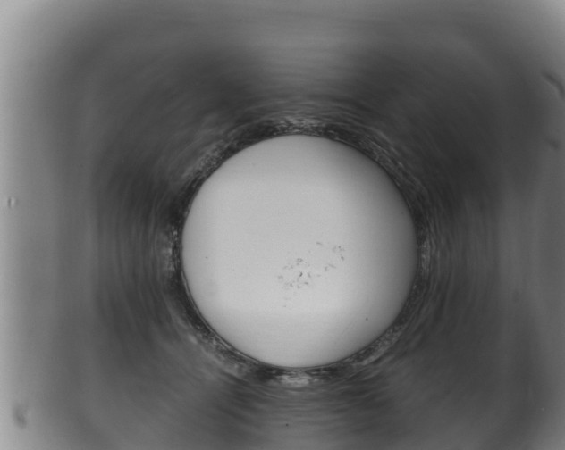 X0000100380464200806060830