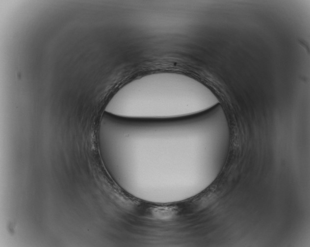 X0000100380465200806060830