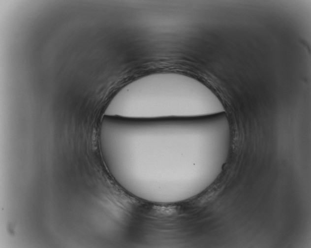 X0000100380469200806060830