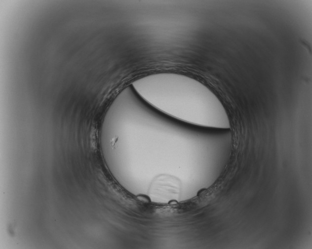 X0000100380470200806060830