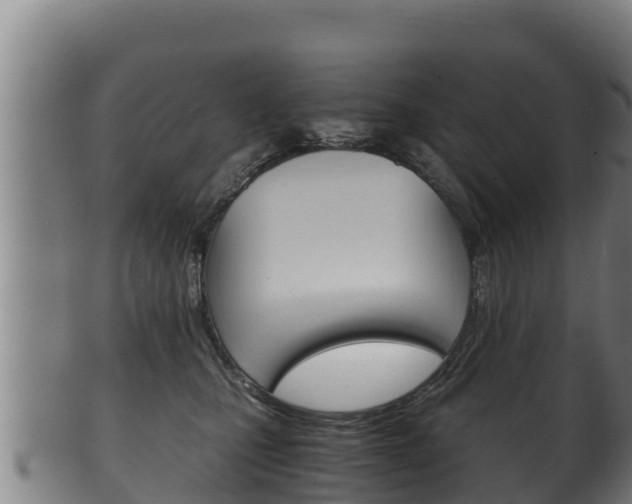X0000100380471200806060830