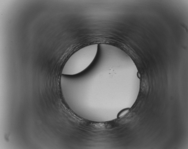 X0000100380473200806060831