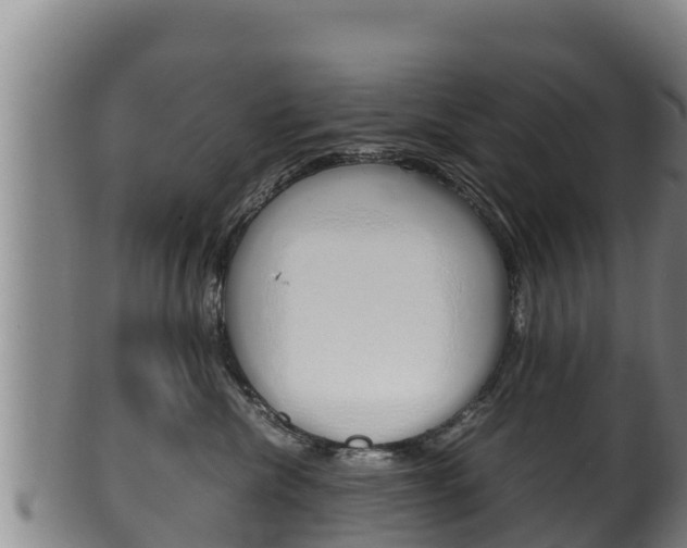 X0000100380476200806060831