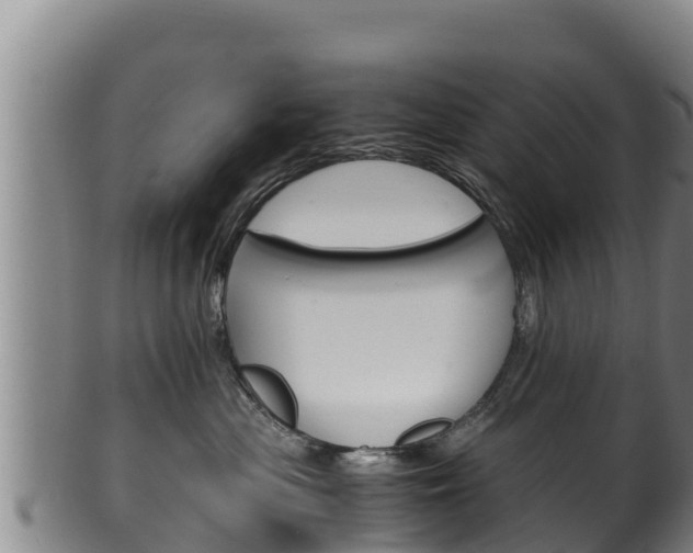 X0000100380477200806060831