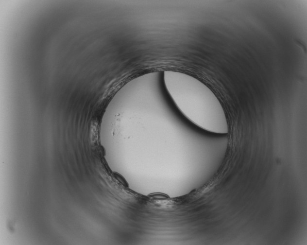 X0000100380478200806060831