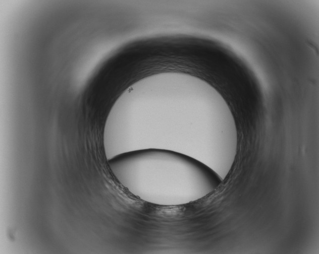 X0000100380479200806060831