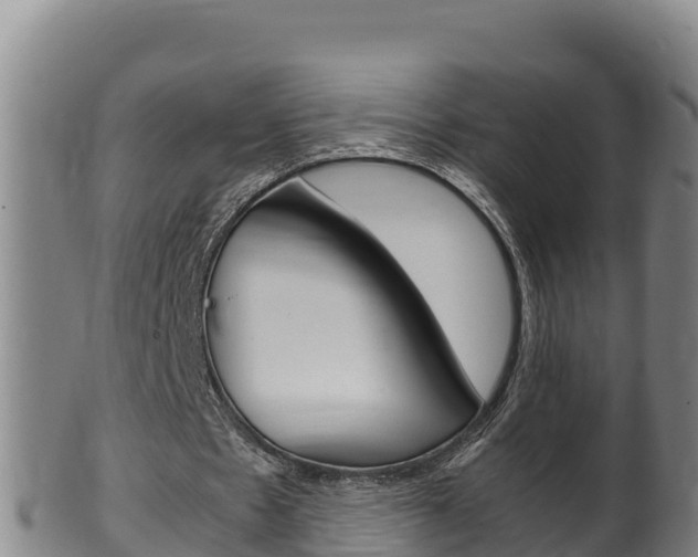 X0000100380481200806060830